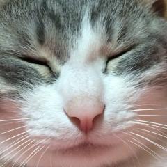 こんなやつと君は付き合える？(春から中3w)