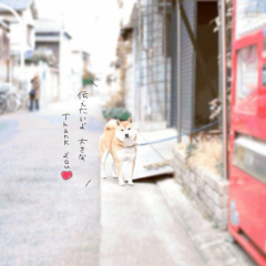 ゆうかのトーク
