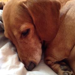 あいりのトーク