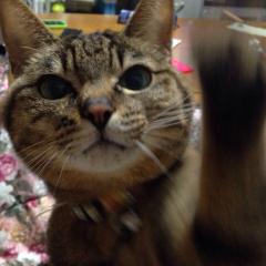 まあ