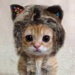 ナナピーのトーク