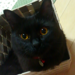 すーずのトーク