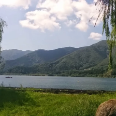 バスフィッシング