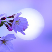 まりっぺのトーク