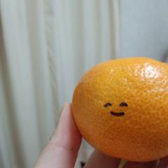 みかん٩( 'ω' )و