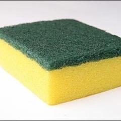 スポンジ( `ω´ )