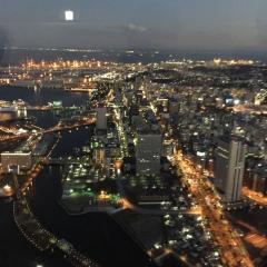 きっと、新しい日