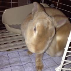 miyu☆miyu☆のトーク