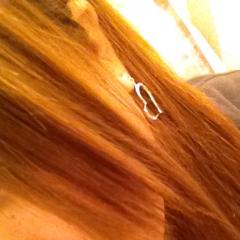 暇ちんニャ( ´ ▽ ` )ﾉ