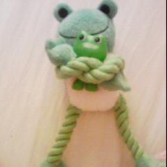 NAOTOファン❤️トーク