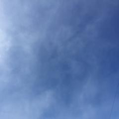 既婚者でセクマイの方居ませんか？