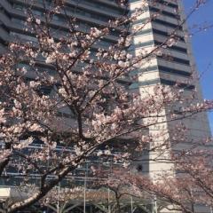 ななみはS.VIP*･°