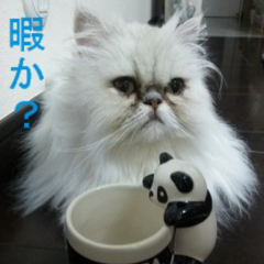 のん＆いけたん