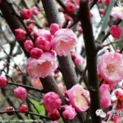 おはよう😄💓宮城県だよ！