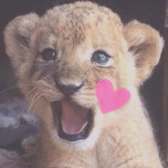 中学生の人きてね〜！