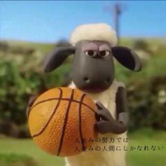 多数決とるー！