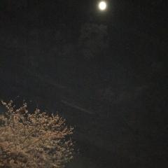 らっちょ