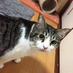しげちゃん