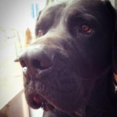 ゆたかっちのトーク