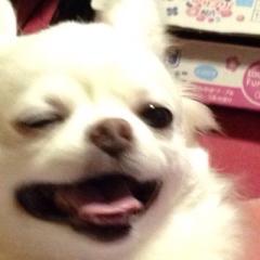 はな