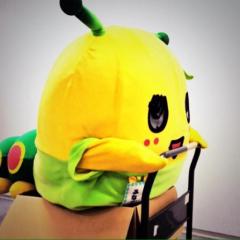 まりすけ