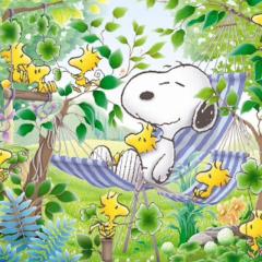 EXILE、3代目、E−girlsが好きな方フォローしてください