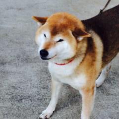 じゅんのトーク