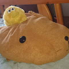 ゆに
