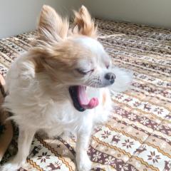 Hiro