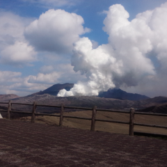 _(┐「ε:)_ﾏｯﾀﾘｰﾇの部屋