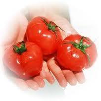 Tomato