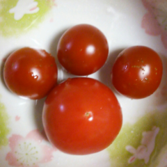 ☆まさりっくす☆