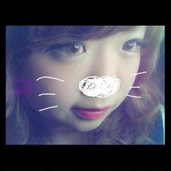 福岡の種 : こんちゃん