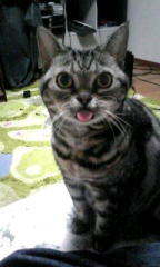 ユウジ(村井雄治)のトーク