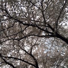 一緒に考えよう！！