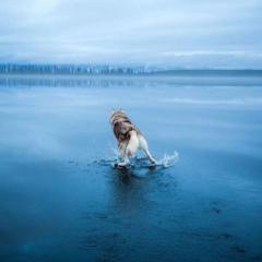 オッチャン君のトーク