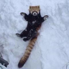 ふう