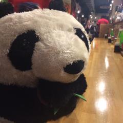 【ピリ辛採点】寂しい人向け