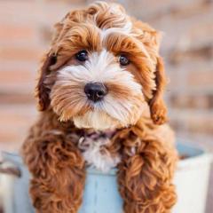 年代関係なく仲良く絡もう(^_−)−☆