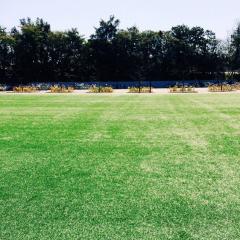 ざきさん。（はるきち）