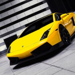 新高１いてますか？