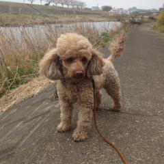 あっくんのトーク