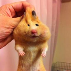 マンガ描いてみたい人来なよ(￣▽￣)