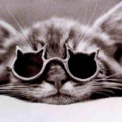 ごたごたでごめんね?