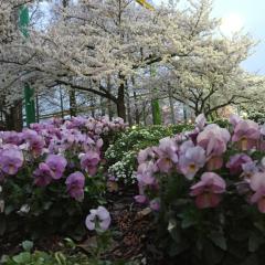 くるっち🍓🍓