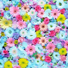 オシャレgirl*．゜