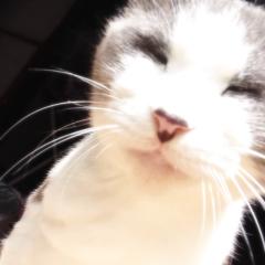 なぎさーのトーク