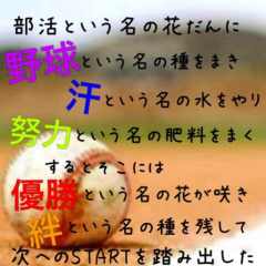 野球好き集まれー！