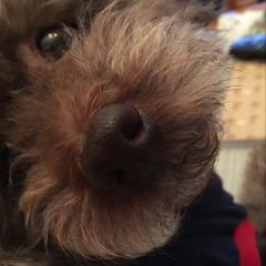 ヒカルのトーク