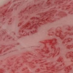 牛始めてました